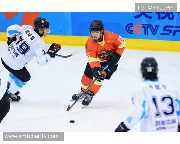 2025至2026赛季中国男子冰球职业联赛深圳赛区圆满落幕精彩赛事回顾与未来展望